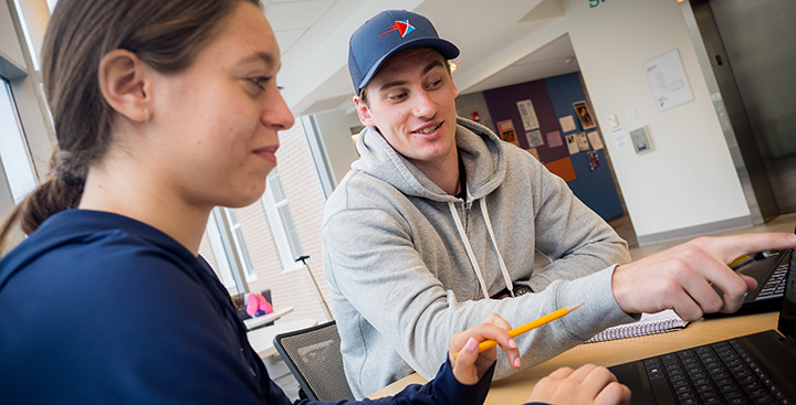 Curry College students work on their laptops